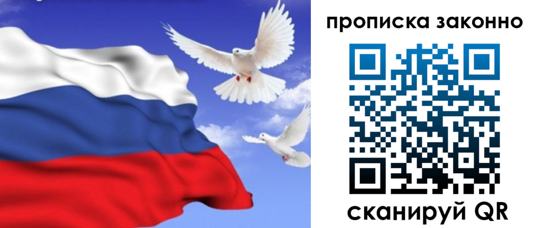 прописка в Черногорске